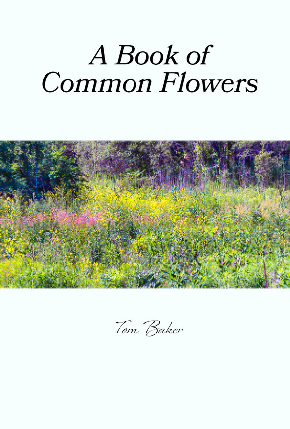Book of common flowers cover